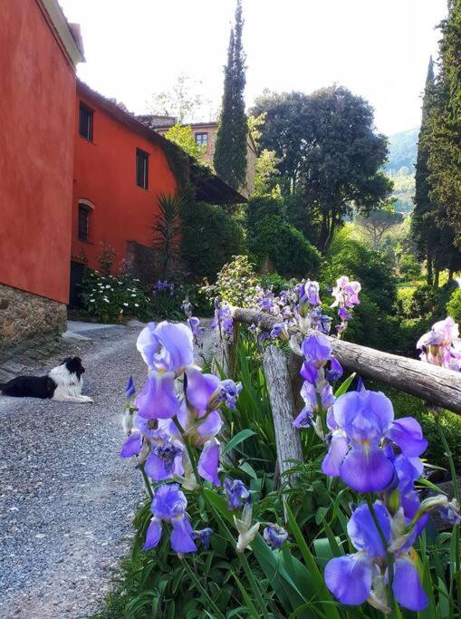 Uno Spazio Di Relax In Toscana Apartment Buti Exterior foto