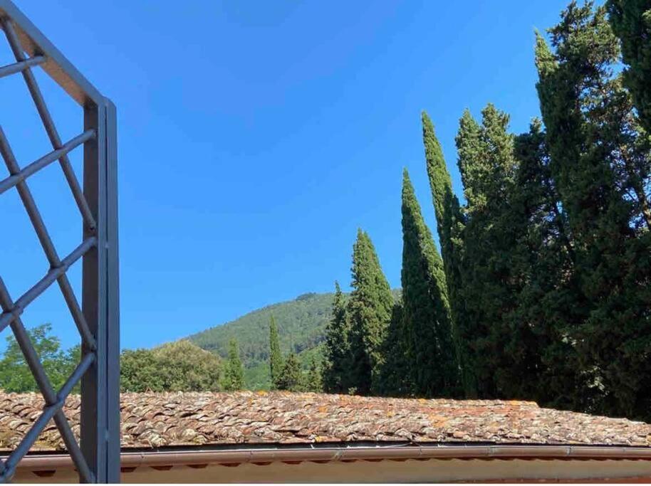 Uno Spazio Di Relax In Toscana Apartment Buti Exterior foto